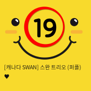 [캐나다 SWAN] 스완 트리오 (퍼플) ♥