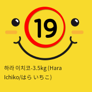 하라 이치코-3.5kg (Hara Ichiko/はら いちこ)