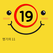 명기의 11