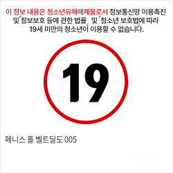 페니스 홀 벨트딜도 005