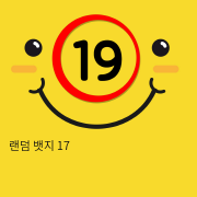 랜덤 뱃지 17